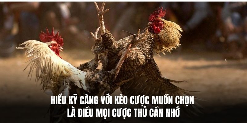 Hiểu kỹ càng với kèo cược muốn chọn là điều mọi cược thủ cần nhớ.