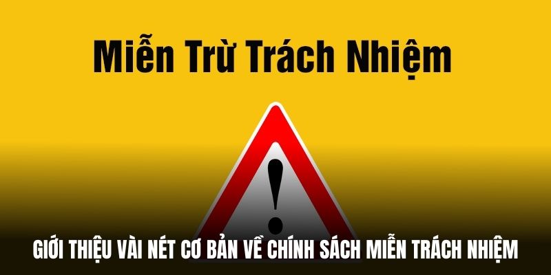 Giới thiệu vài nét cơ bản về chính sách miễn trách nhiệm